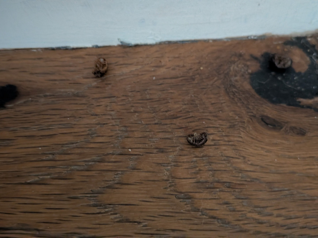 草地鹨酒店主图