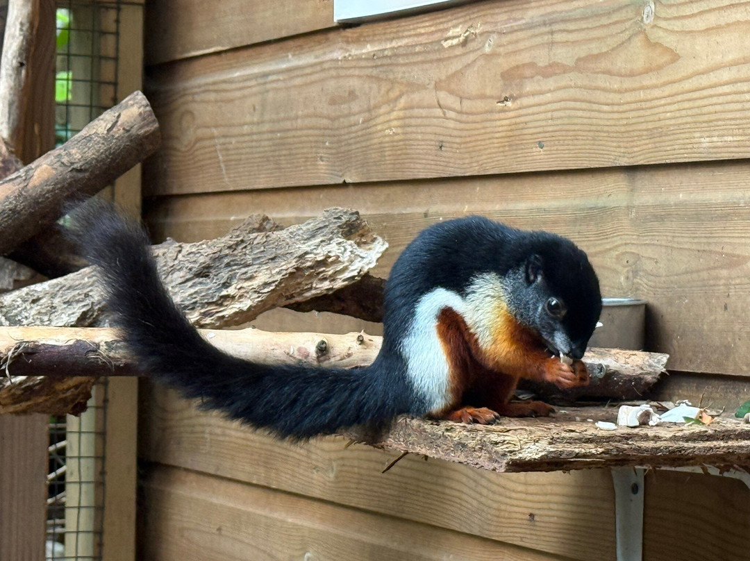 Shaldon Wildlife Trust-Shaldon必去景点