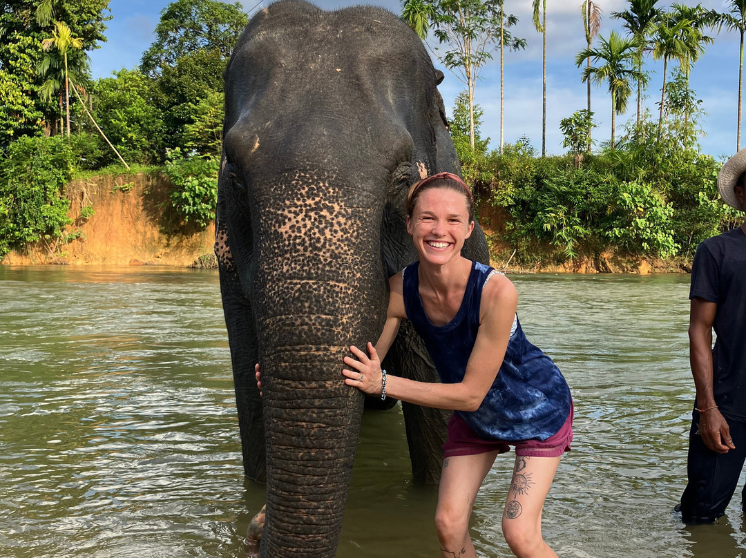 Khao Sok Elephant Sanctuary-拷索国家公园必去景点