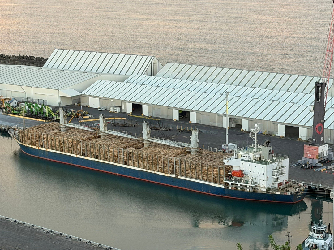 Bluff Hill Lookout-纳皮尔必去景点