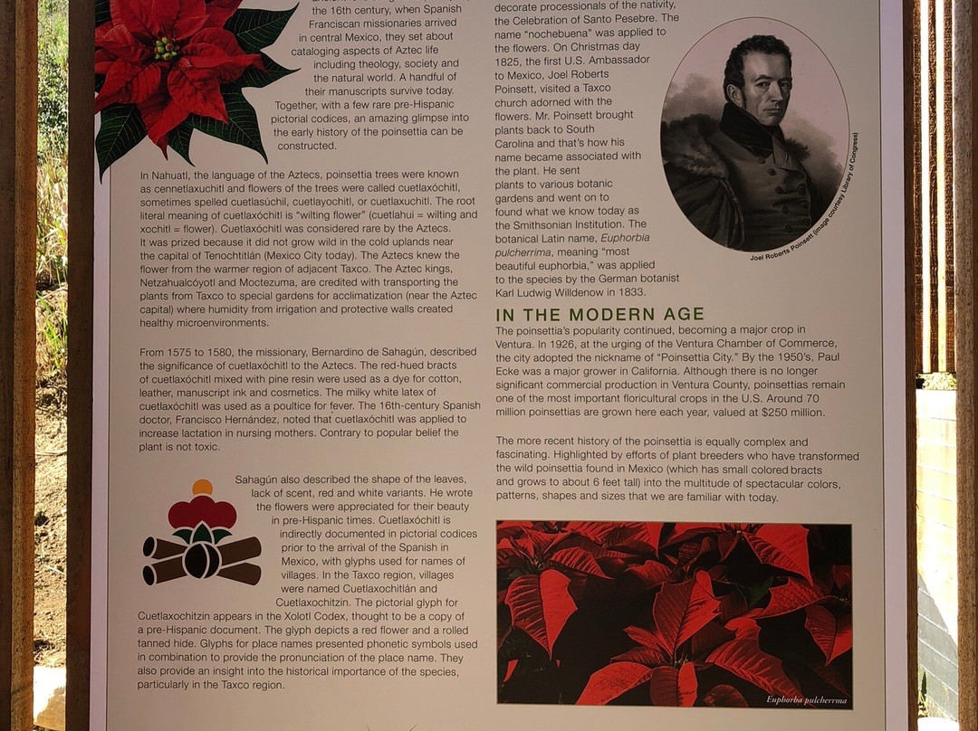 Ventura Botanical Gardens-文图拉县必去景点