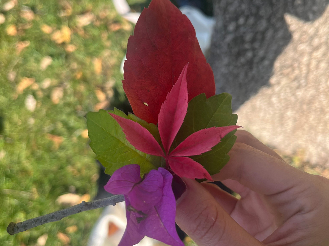 The Yogiventures-贝鲁特必去景点