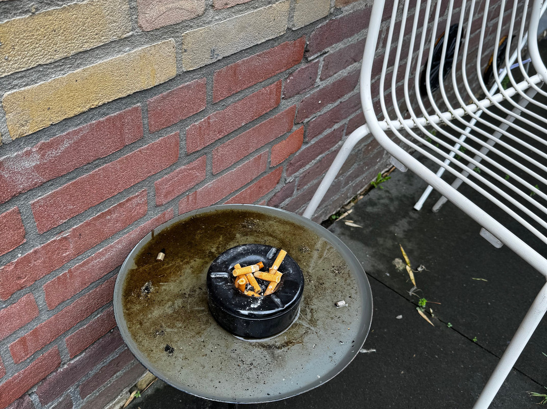 The Anthony Hotel主图