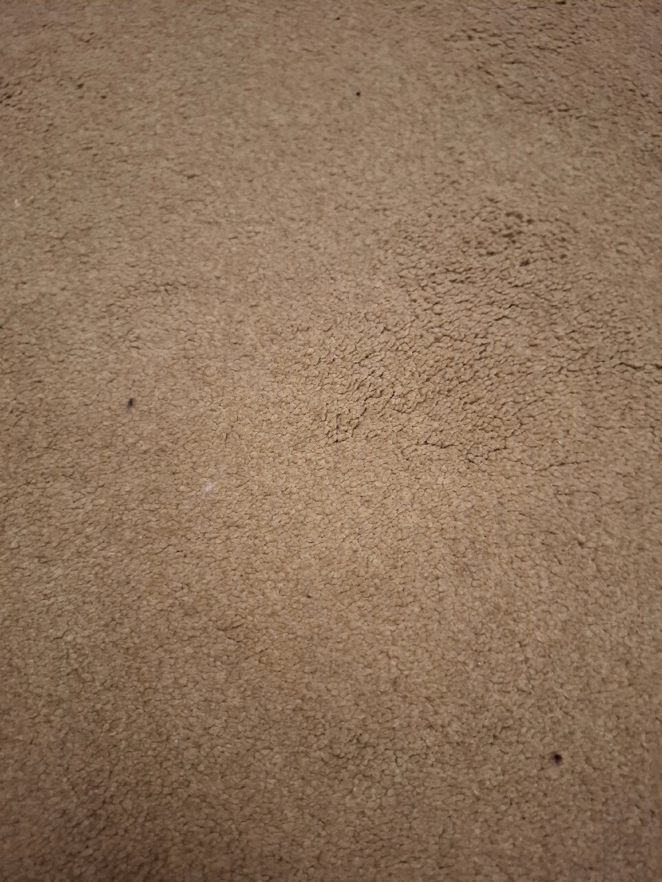 New Bath Hotel and Spa-官方