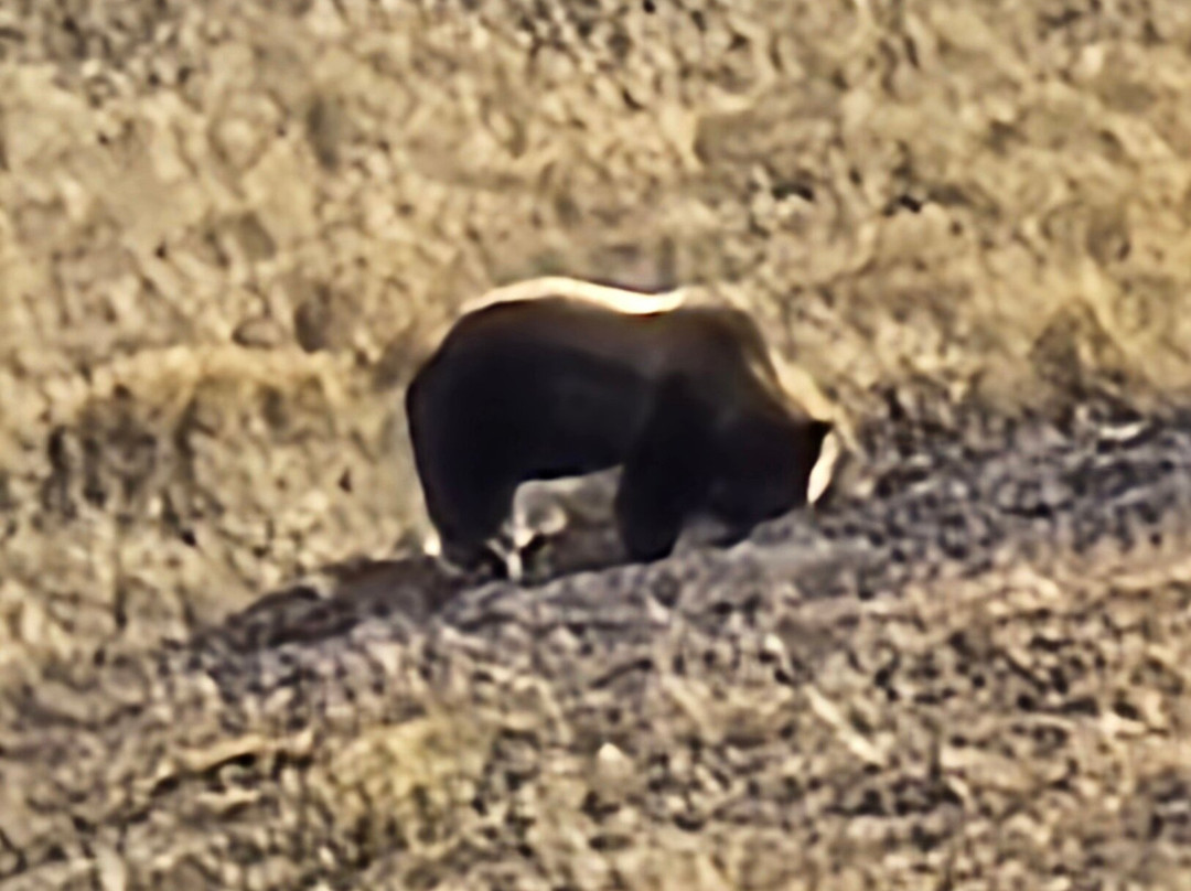 Yellowstone National Park-黄石国家公园必去景点