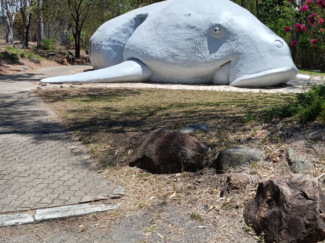 Dreamtime Cultural Centre-罗克汉普顿必去景点