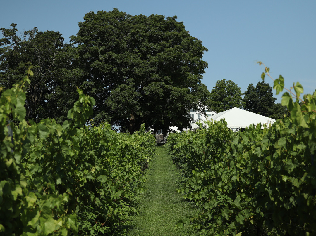 Flag Hill Distillery & Winery-Lee必去景点