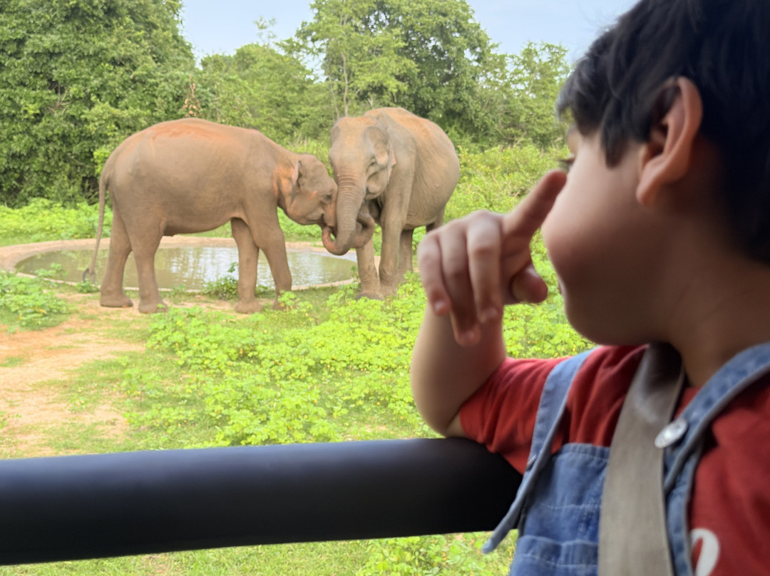 Sri Lanka Tour Guides-Gonapola必去景点