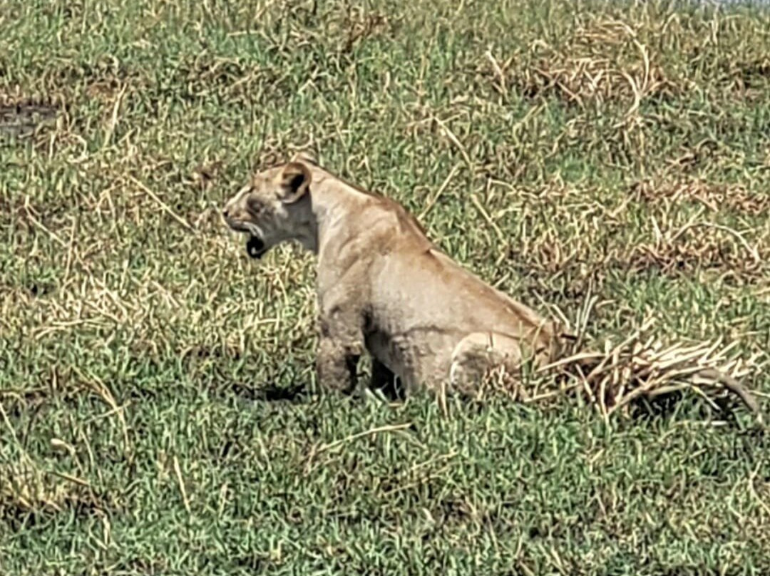 Tanzania Specialist-阿鲁沙必去景点