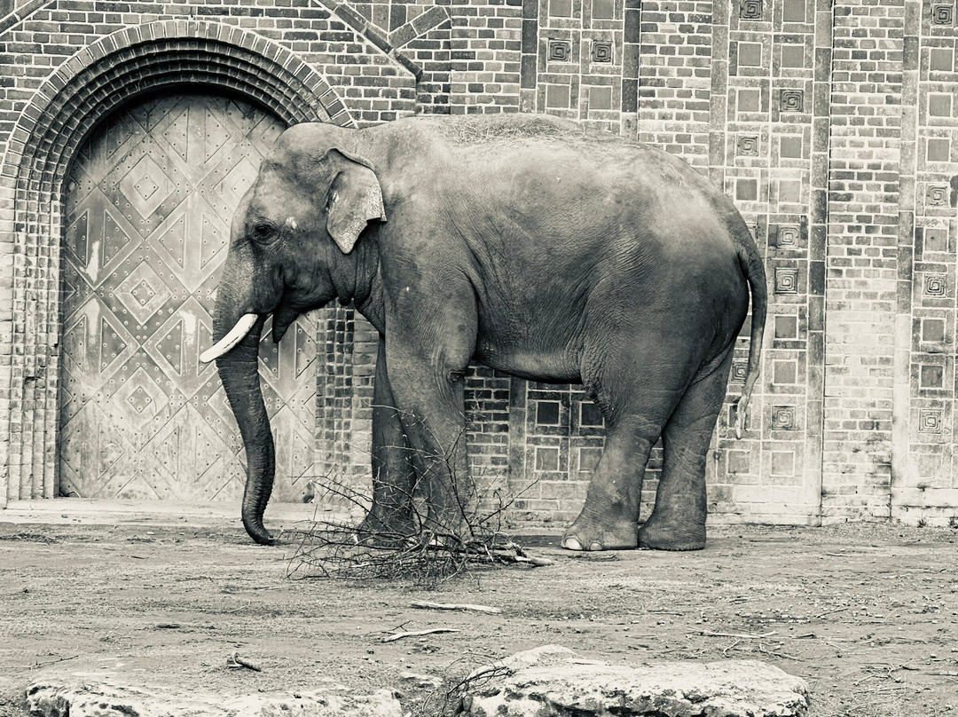 Zoo Leipzig-莱比锡必去景点