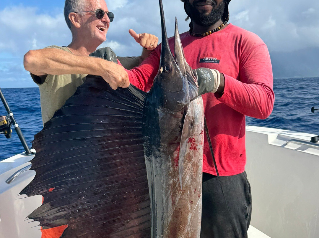 Carib Evasion-Case-Pilote必去景点