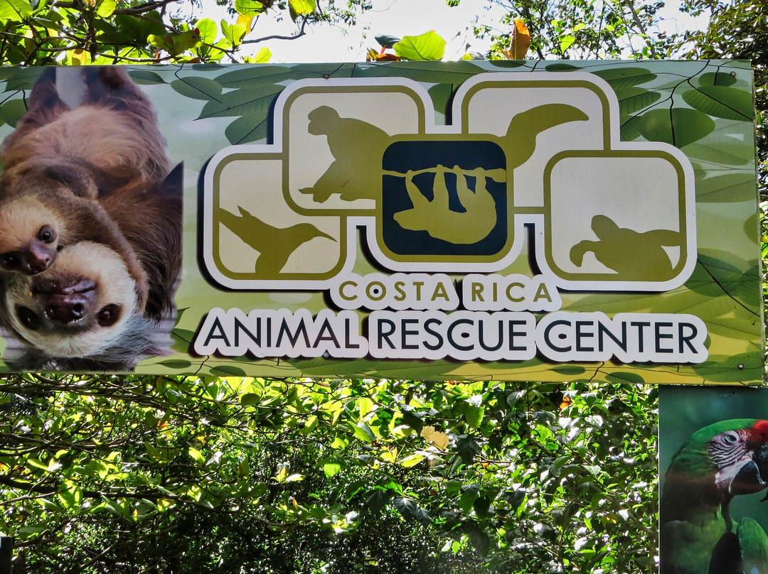 Costa Rica Animal Rescue Center-Turrucares必去景点