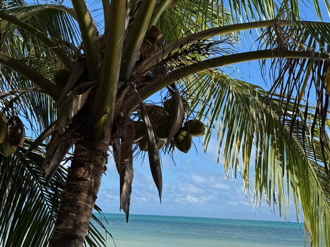 Santi Tour-普拉亚德尔卡曼必去景点