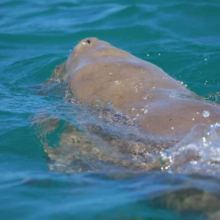 Bazaruto Incoming Agency-Vilanculos必去景点