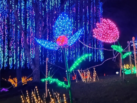 The North Carolina Arboretum-阿什维尔必去景点
