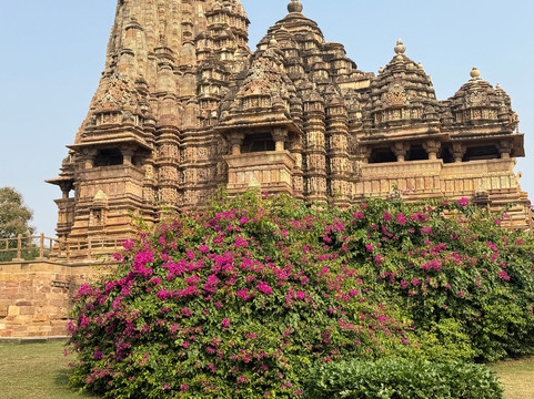 Wildlife Explorer India-新德里必去景点