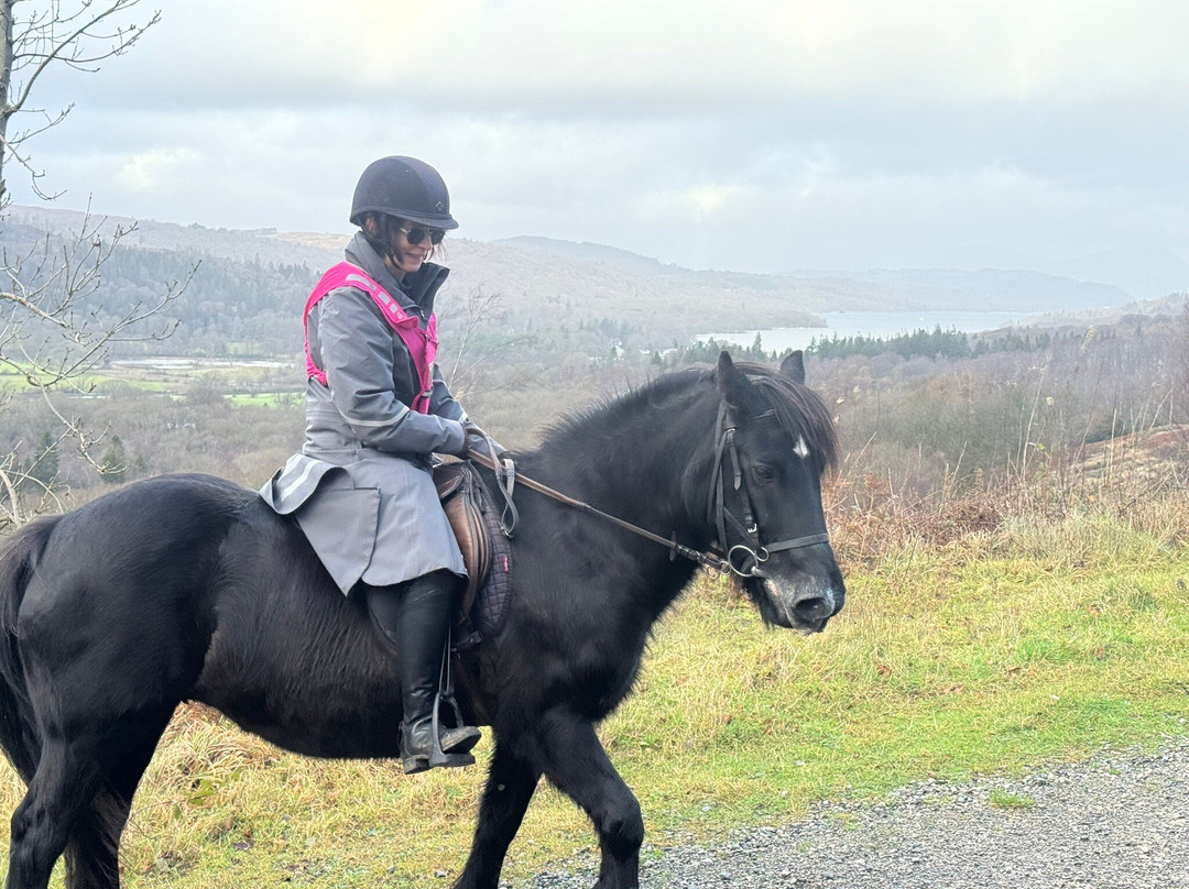 Fell Pony Adventures-温德米尔必去景点