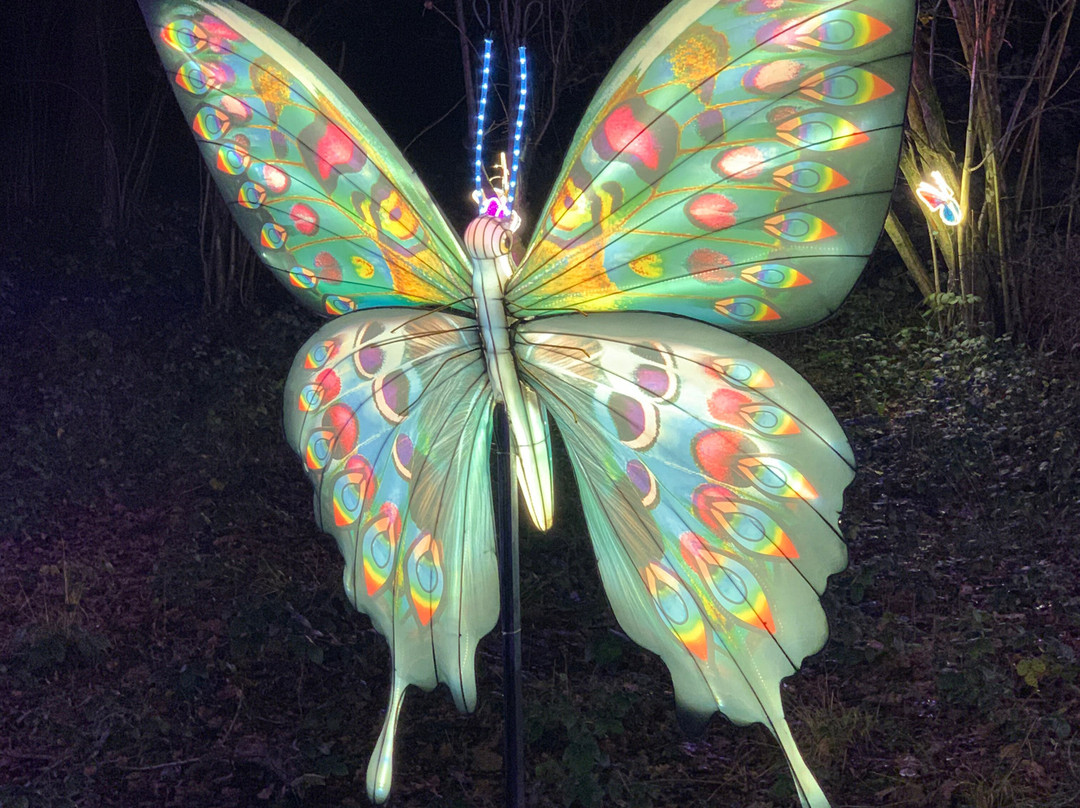 Tulleys Farm-Turners Hill必去景点