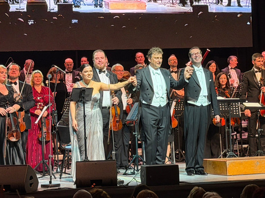 Sala Palatului-布加勒斯特必去景点