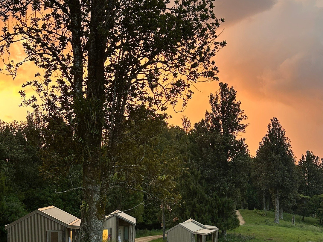 Real  Native  -  Walking Retreat-Te Awamutu必去景点