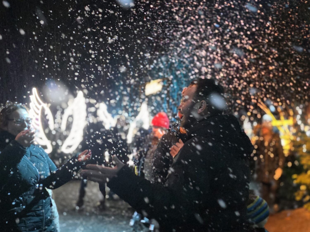 Tulleys Farm-Turners Hill必去景点