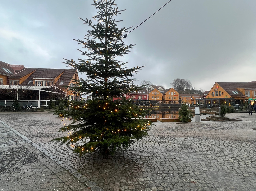 Fiskebrygga-克里斯蒂安桑必去景点