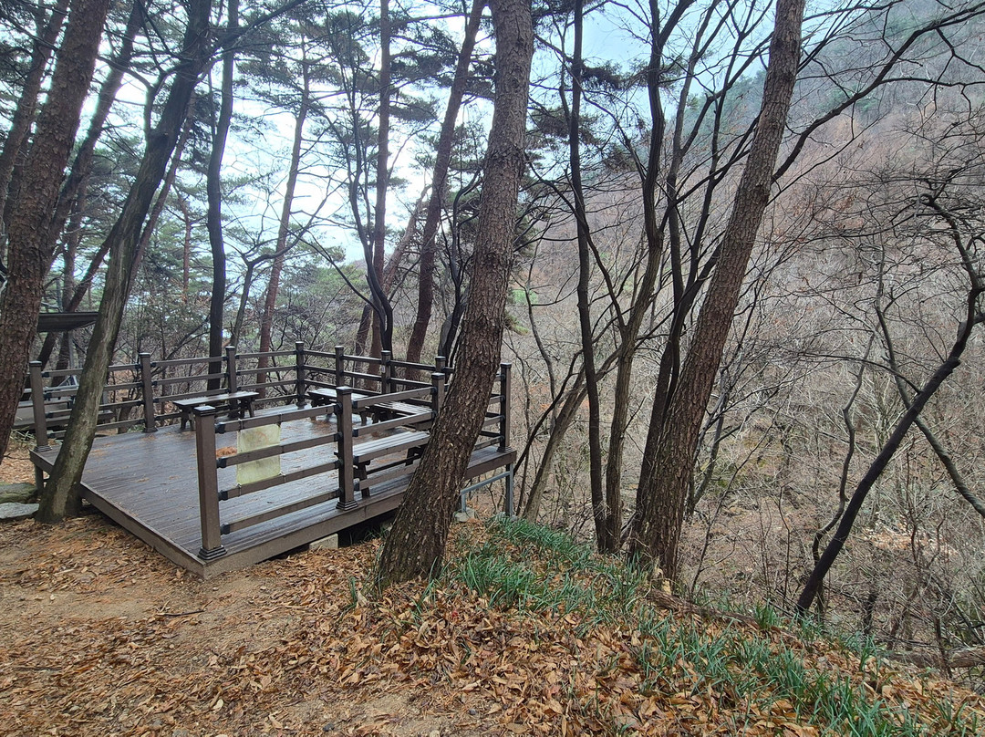 Moak Mountain-全州市必去景点