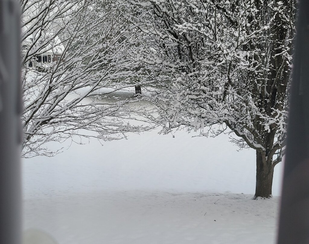 The Parklands of Floyds Fork-路易斯维尔必去景点