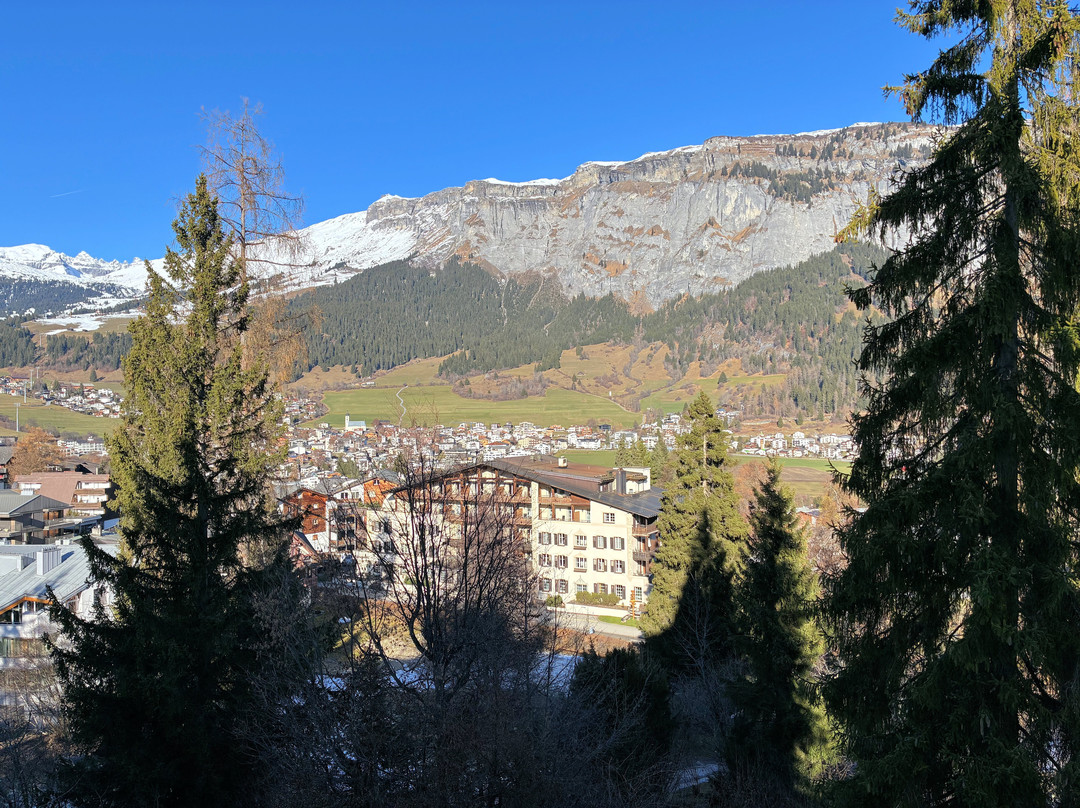 施瓦茨霍夫罗曼蒂克酒店主图