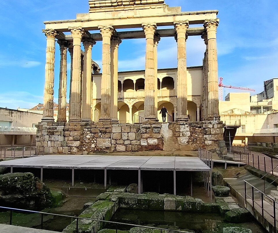 Hotel Apartamentos MPD主图