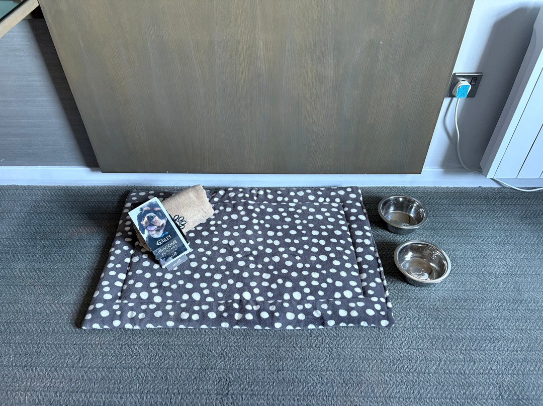 The Gailes Hotel & Spa主图