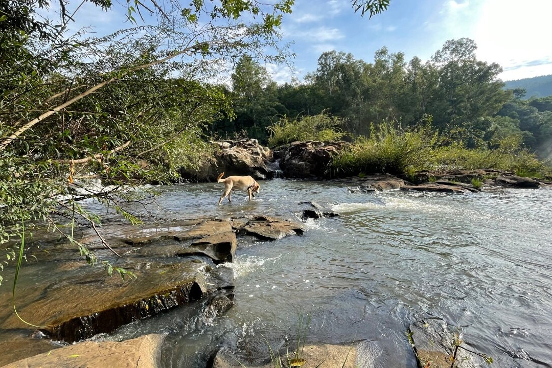 Cascata do Ibicuí-Campos Novos必去景点