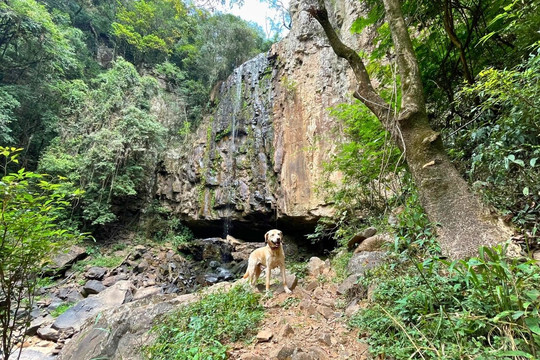 Cascata Garganta dos Polacos-Casca必去景点