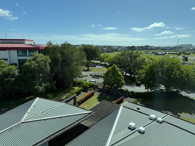 奥克兰艾勒斯利诺富特酒店-酒店景观