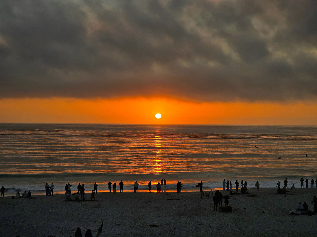 Carmel Beach-卡梅尔必去景点