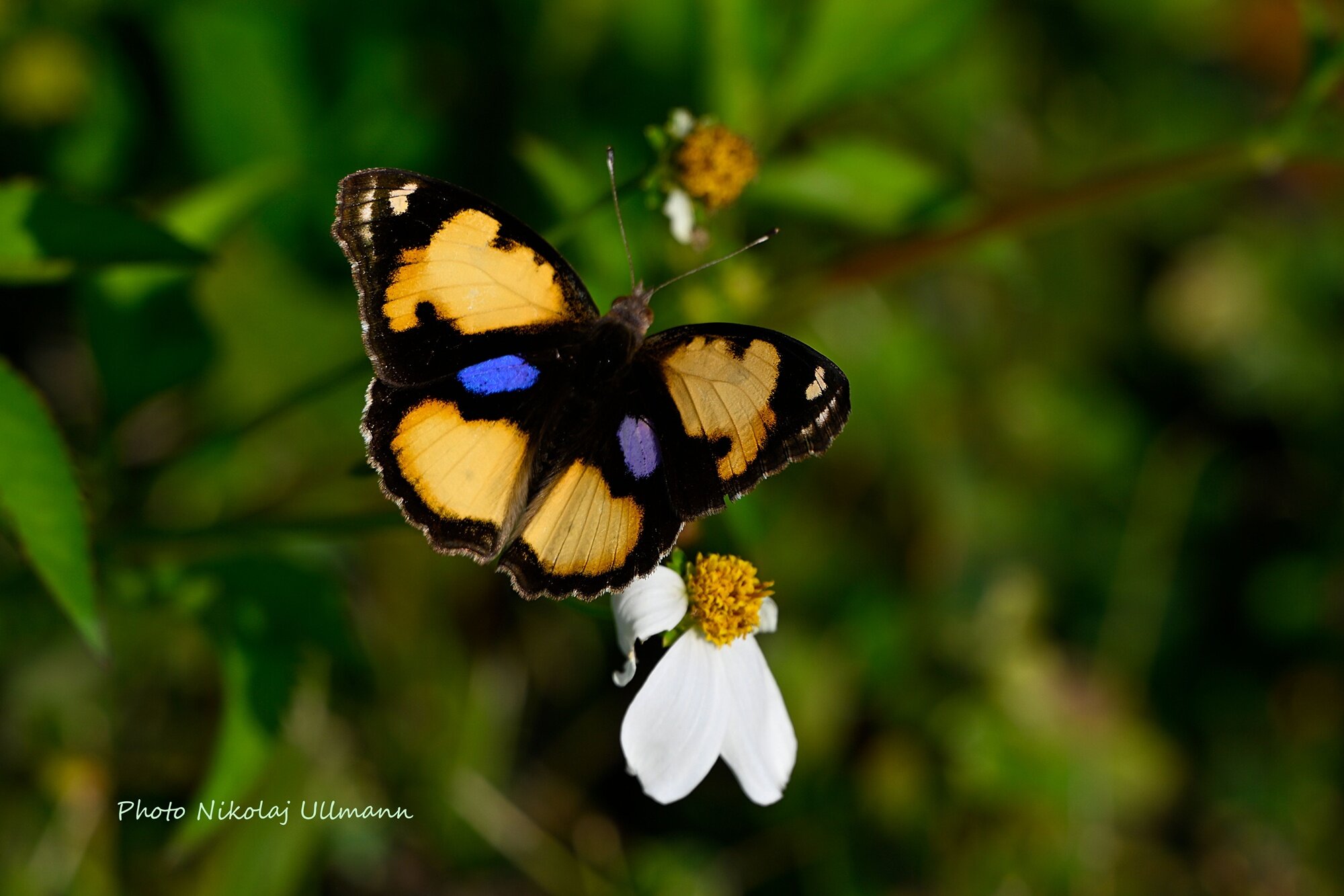 Namkat Yorla Pa Resort-官方