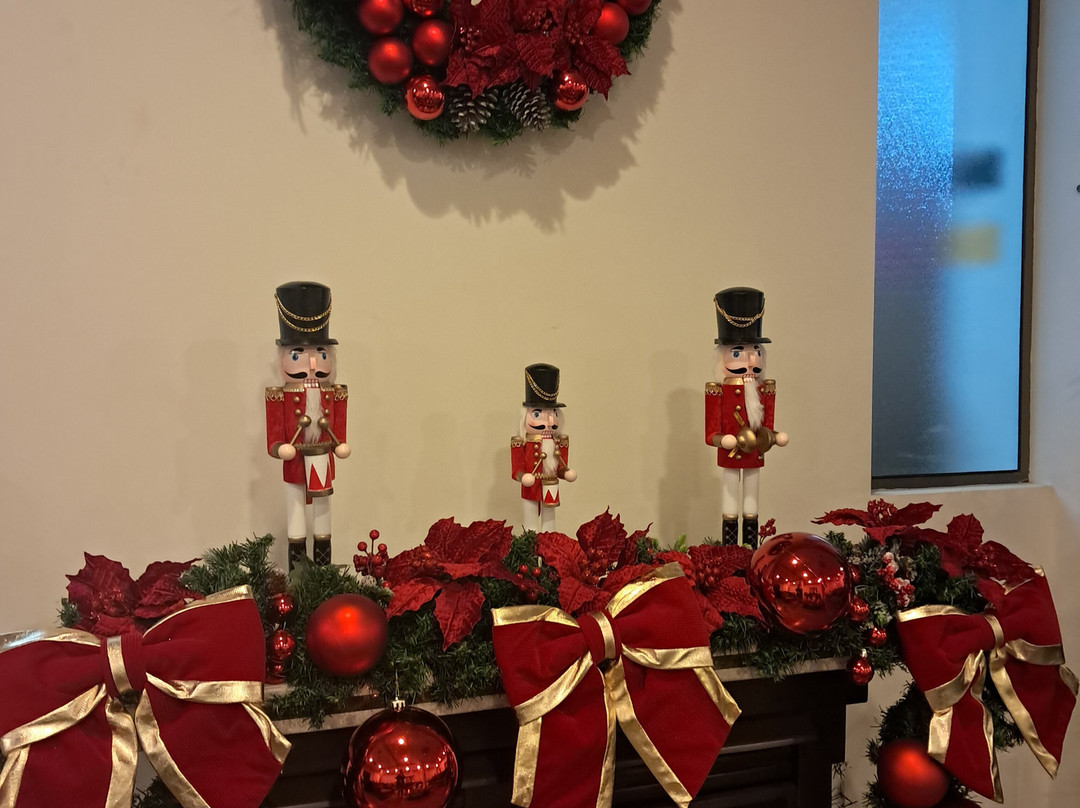 Serra Negra Palace Hotel主图