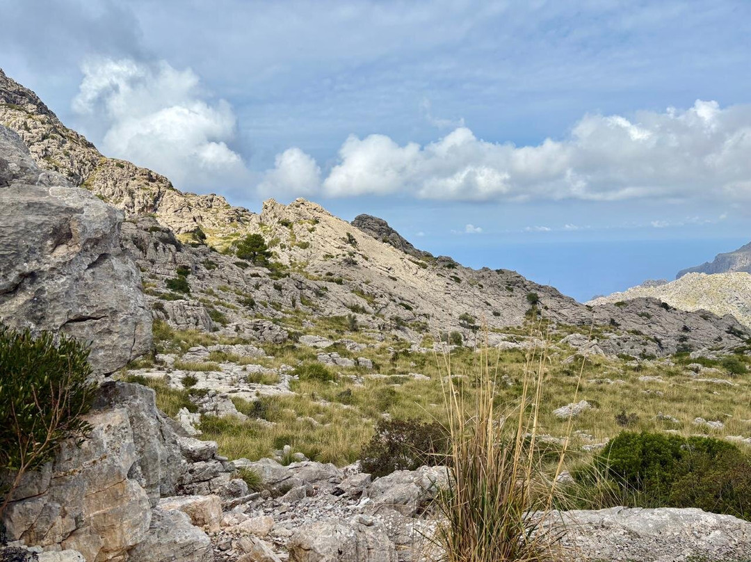 Nus de Sa Corbata-Escorca必去景点