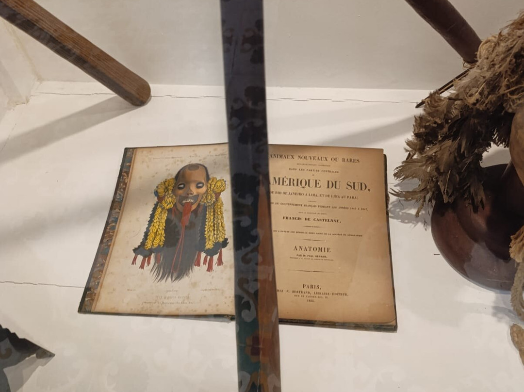 Museum of Indigenous Amazonian Cultures-伊基托斯必去景点