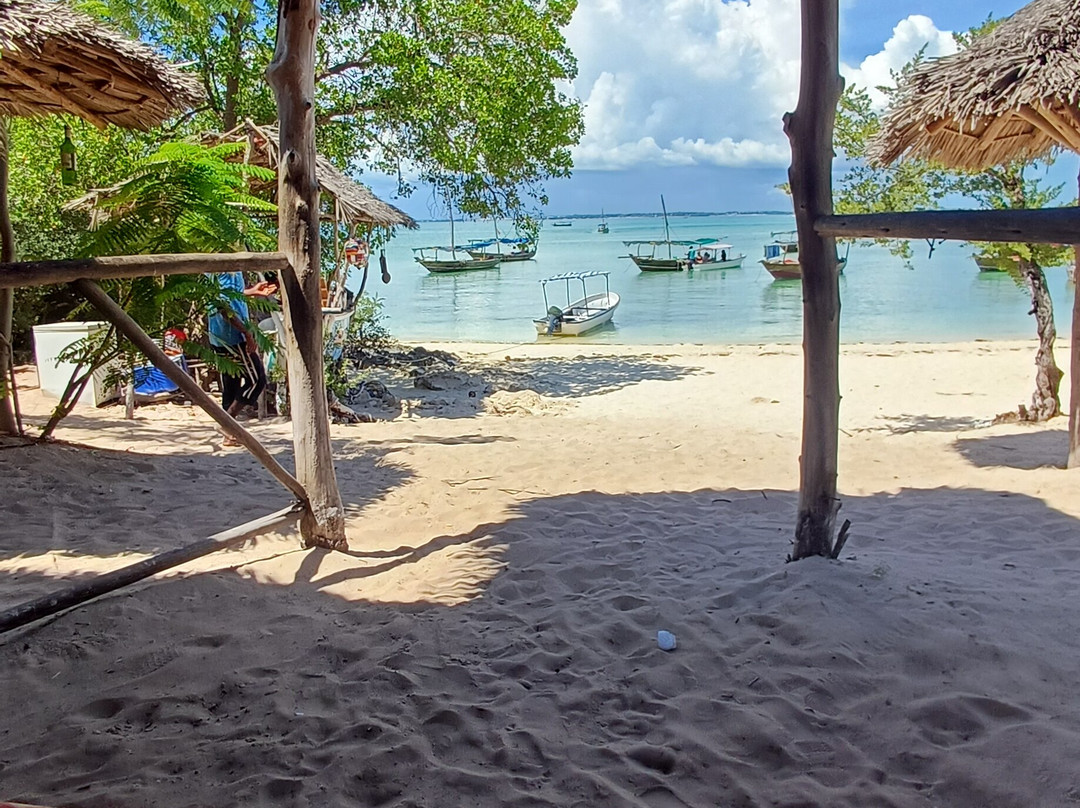 Blue - Green Zanzibar Tours and Safari-石头城必去景点