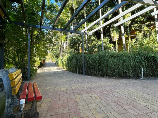 Silvanus Forest Retreat, Alibaug主图