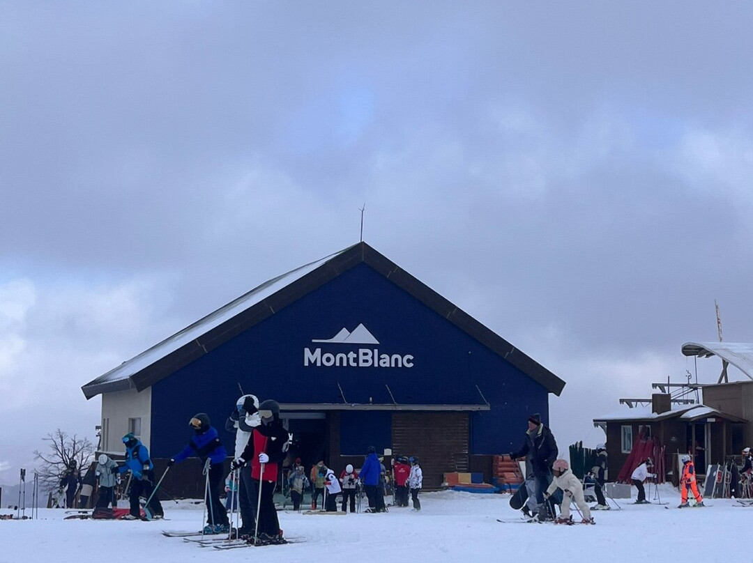 Phoenix Snow Park-平昌郡必去景点