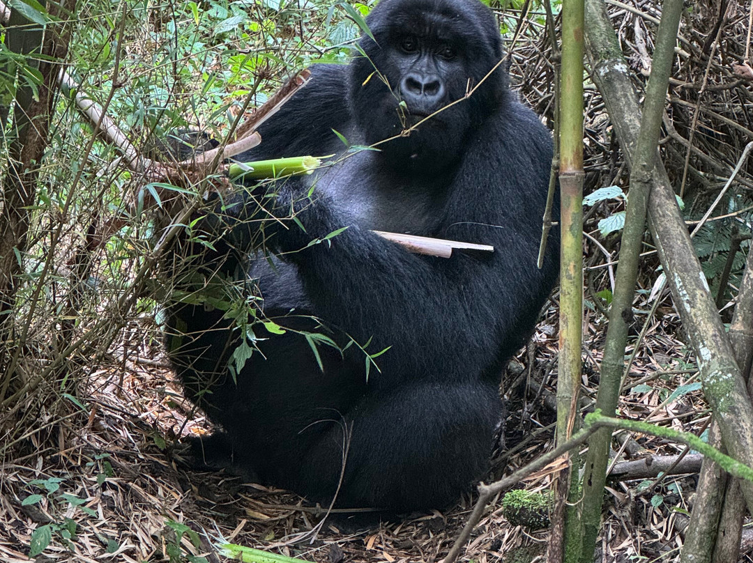 Pride Adventure-吉佳利必去景点