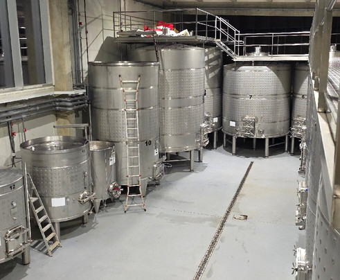 Velvety Wines - Dominio Lubiano-Pesquera de Duero必去景点