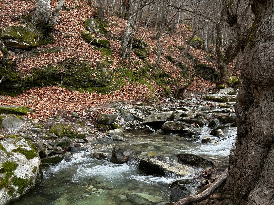 Atrion Hotel Elatochori主图