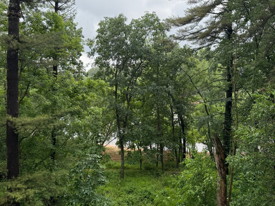 Land of Natura-威斯康星峡谷必去景点