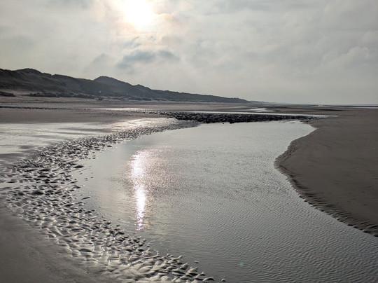 郁金香假日旅馆主图