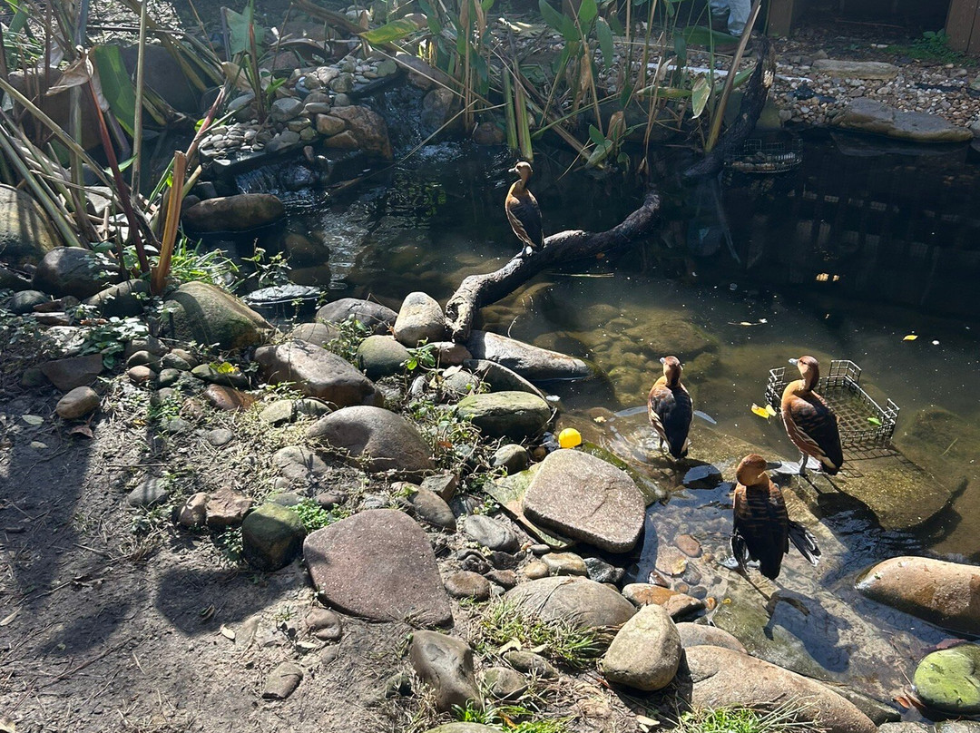 Santa Fe College Teaching Zoo-盖恩斯维尔必去景点