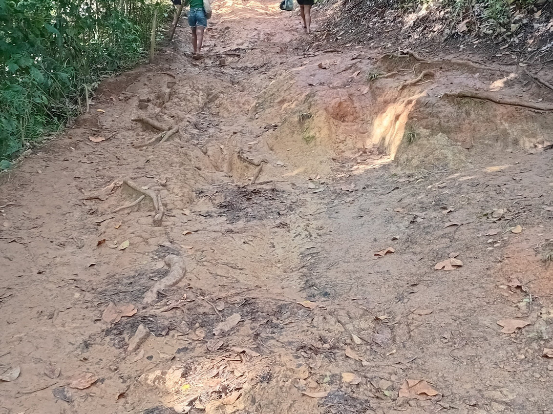 Jeribucacu Beach-Itacare必去景点