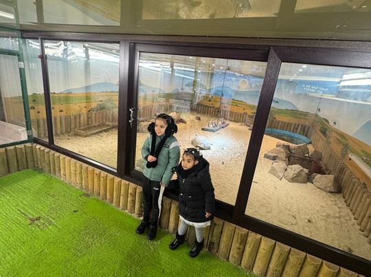 Old MacDonald's Farm-布伦特伍德必去景点